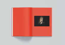 Afbeelding in Gallery-weergave laden, UDC-08: Art van Triest.  GRID - A Visual Research Project