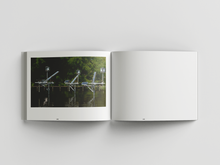 Afbeelding in Gallery-weergave laden, UDC-11: Ronald van der Meijs - If I should live in the past, I wouldn't need a memory.