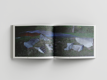 Afbeelding in Gallery-weergave laden, UDC-11: Ronald van der Meijs - If I should live in the past, I wouldn't need a memory.