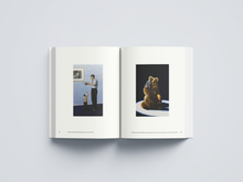 Afbeelding in Gallery-weergave laden, UDC-12: Vincent Dams - Almost Good