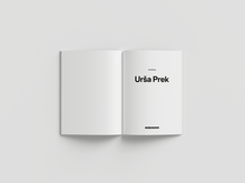 Afbeelding in Gallery-weergave laden, UDC-17: Introducing Urša Prek - Timekeepers