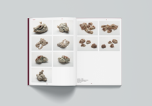 Afbeelding in Gallery-weergave laden, UDC-04: Class of Outcasts - Ajla R. Steinvåg