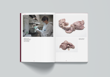 Afbeelding in Gallery-weergave laden, UDC-04: Class of Outcasts - Ajla R. Steinvåg