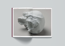 Afbeelding in Gallery-weergave laden, UDC-04: Class of Outcasts - Ajla R. Steinvåg