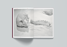 Afbeelding in Gallery-weergave laden, UDC-04: Class of Outcasts - Ajla R. Steinvåg