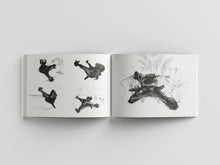 Afbeelding in Gallery-weergave laden, UDC-03: A 21st. Century Mirage - Paul Segers