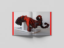 Afbeelding in Gallery-weergave laden, UDC-20: Simon Schrikker - Crooked Teeth in an Octopus' Garden
